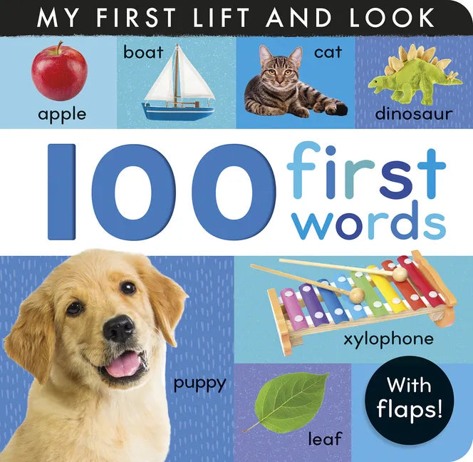 100 First Words: My First Lift and Look (with Flaps) - Board Book