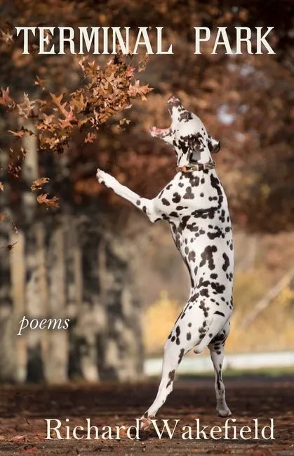 Terminal Park: Poems - Paperback