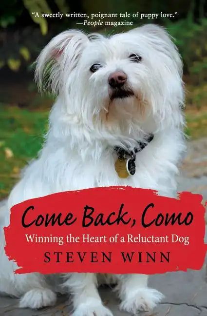 Come Back, Como: Winning The Heart Of A Reluctant Dog - Paperback
