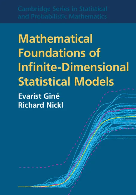 Mathematical Foundations of Infinite-Dimensional Statistical Models - Paperback