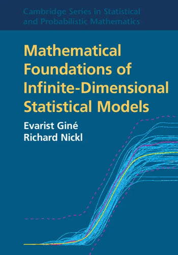 Mathematical Foundations of Infinite-Dimensional Statistical Models - Paperback