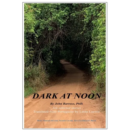 Dark at Noon - Paperback