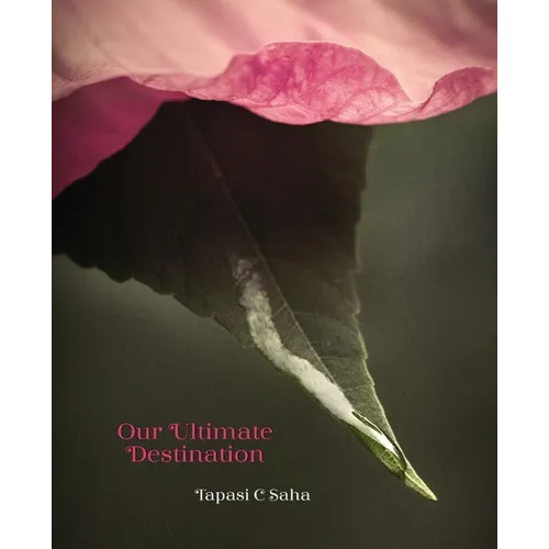 Our Ultimate Destination Paperback - Paperback