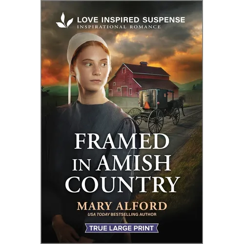 Framed in Amish Country - Paperback