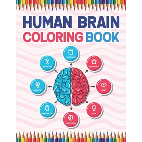 Human Brain Coloring Book: The Human Brain Coloring Book. Human Brain Model Anatomy, Human Brain Diagram, Human Brain Art, Human Brain and Human - Paperback