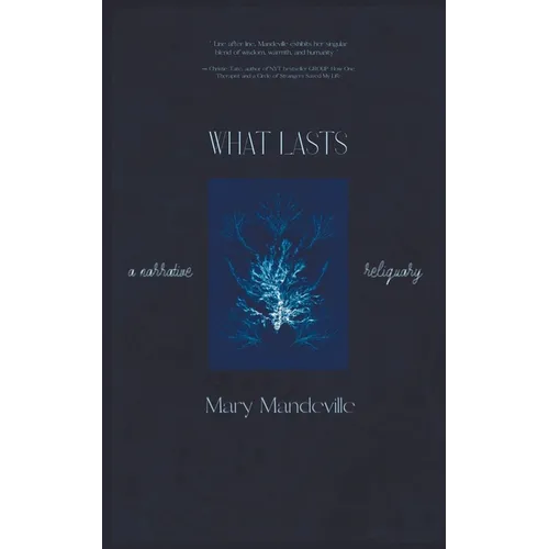 What Lasts: A Narrative Reliquary - Paperback