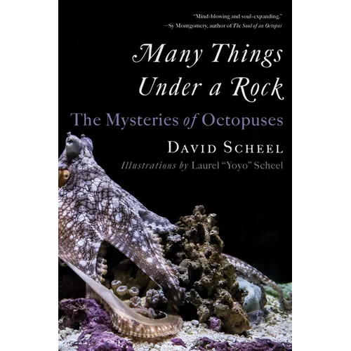 Many Things Under a Rock: The Mysteries of Octopuses - Paperback