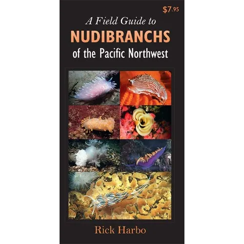 A Field Guide to Nudibranchs of the Pacific Northwest - Paperback