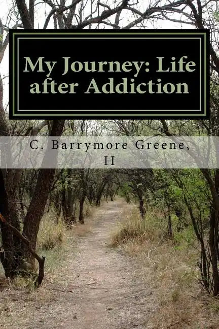 My Journey: Life after Addiction: - The Lazarus Man - Paperback