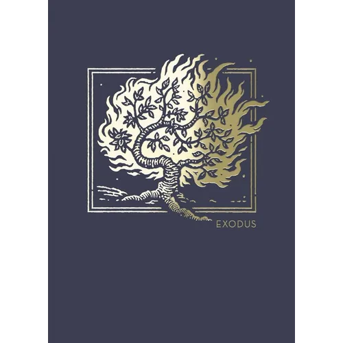 Net Abide Bible Journal - Exodus, Paperback, Comfort Print: Holy Bible - Paperback