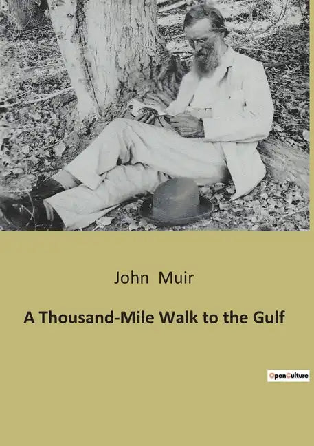 A Thousand-Mile Walk to the Gulf - Paperback