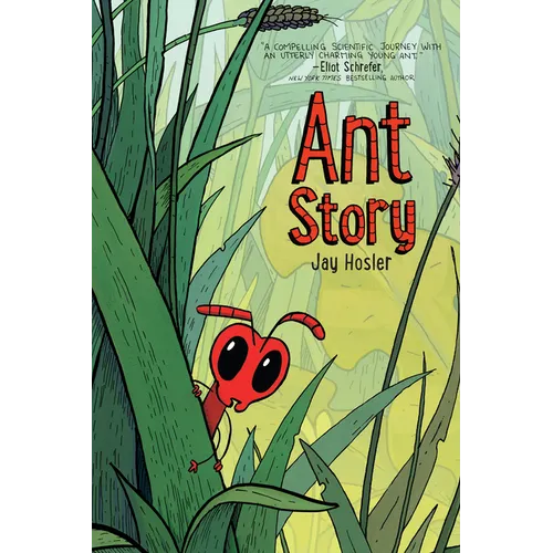 Ant Story - Paperback