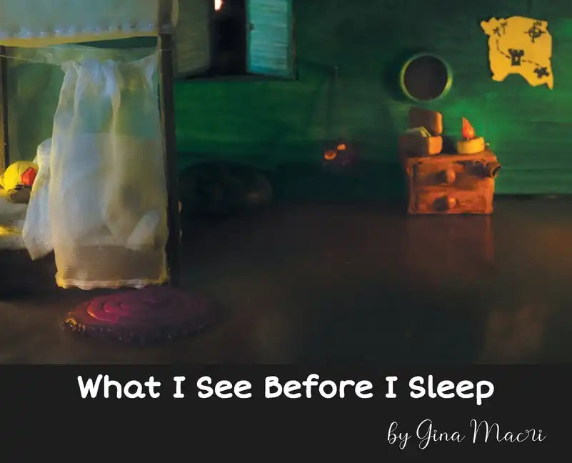 What I See Before I Sleep - Hardcover