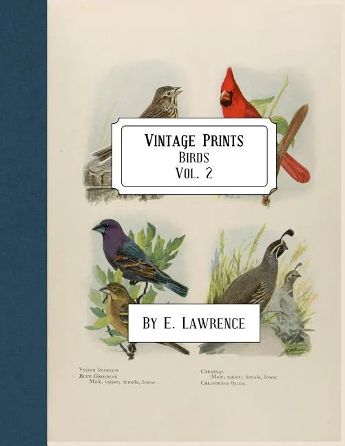 Vintage Prints: Birds: Vol. 2 - Paperback