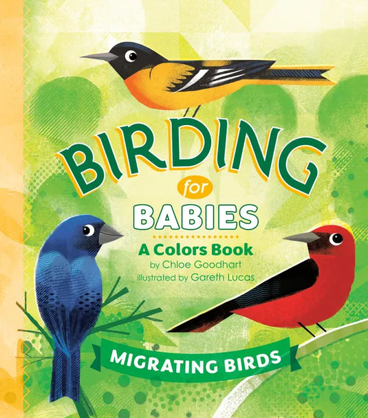 Birding for Babies: Migrating Birds: A Colors Book - Board Book