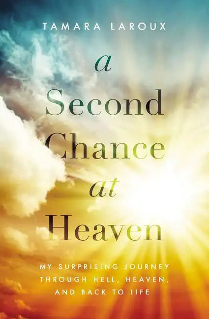 Second Chance at Heaven Softcover - Paperback