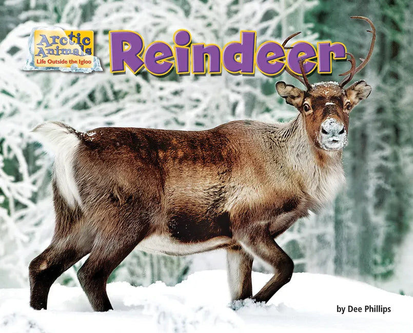 Reindeer - Paperback