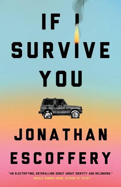 If I Survive You - Hardcover
