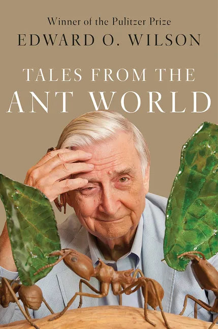 Tales from the Ant World - Hardcover