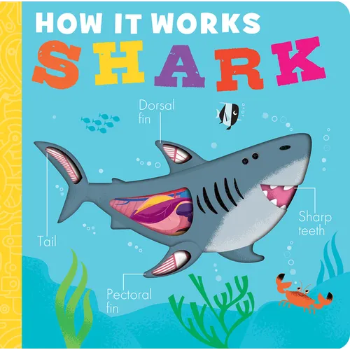How It Works: Shark - Board Book