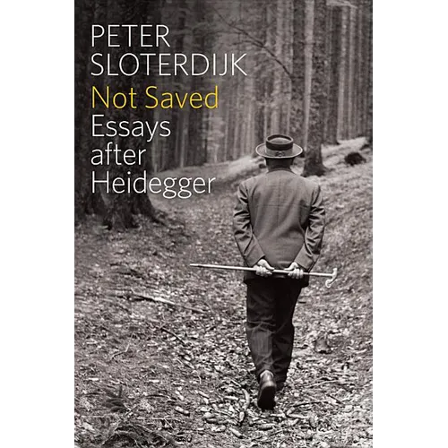 Not Saved: Essays After Heidegger - Paperback