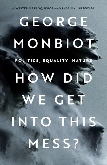 How Did We Get Into This Mess?: Politics, Equality, Nature - Paperback