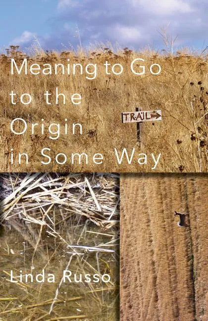 Meaning to Go to the Origin in Some Way - Paperback