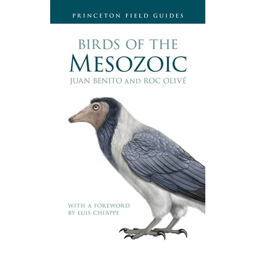 Birds of the Mesozoic - Paperback