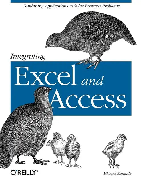 Integrating Excel and Access: Combining Applications to Solve Business Problems - Paperback
