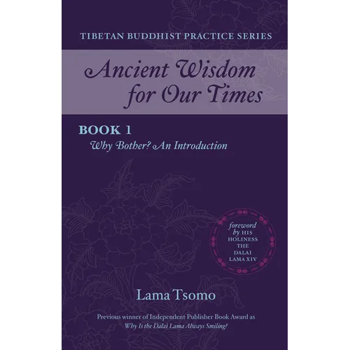 Why Bother?: An Introduction - Paperback