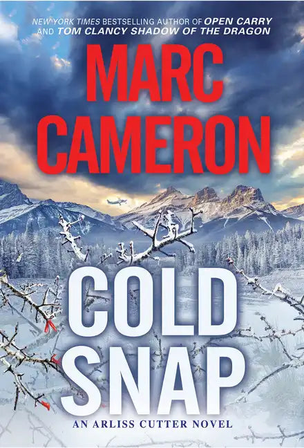 Cold Snap: An Action Packed Novel of Suspense - Paperback