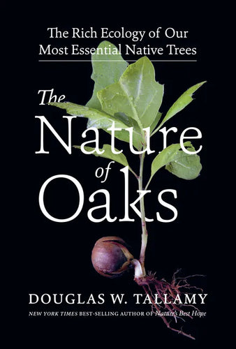 The Nature of Oaks: The Rich Ecology of Our Most Essential Native Trees - Hardcover
