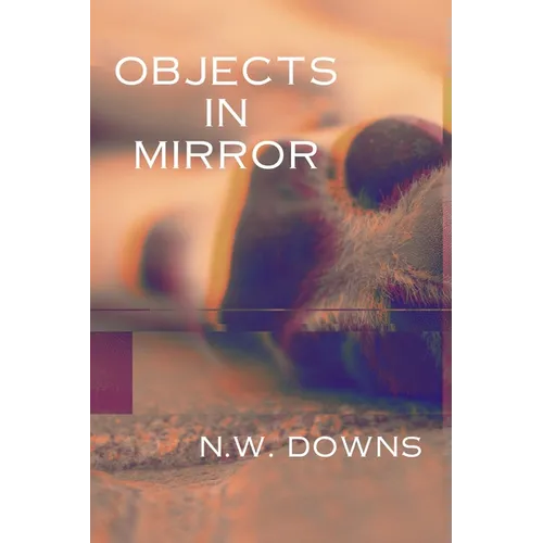 Objects in Mirror - Paperback