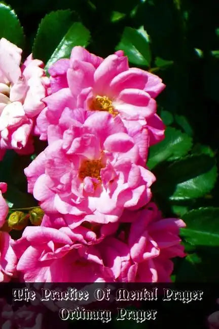 The Practice Of Mental Prayer: Ordinary Prayer - Paperback