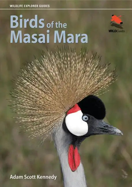 Birds of the Masai Mara - Paperback