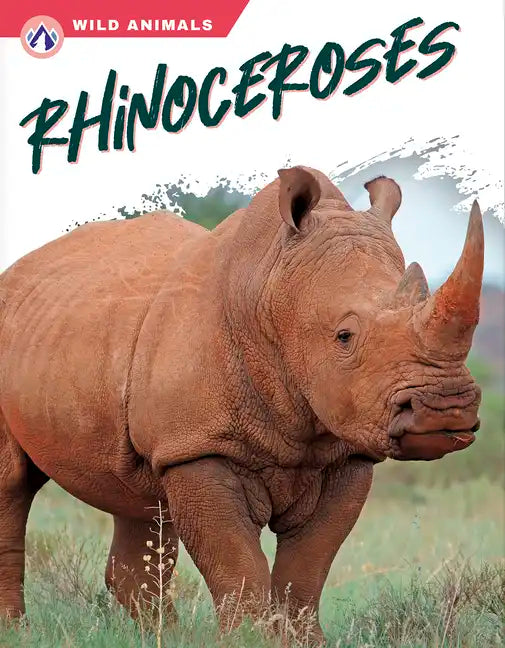Rhinoceroses - Paperback