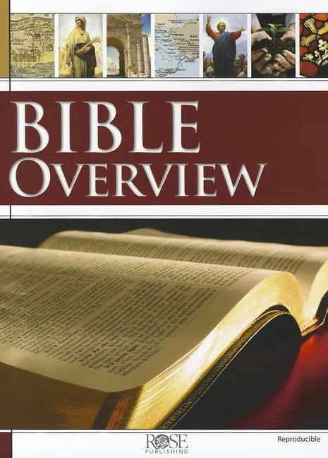 Bible Overview - Paperback