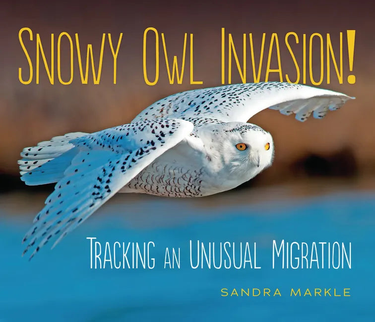 Snowy Owl Invasion!: Tracking an Unusual Migration - Paperback