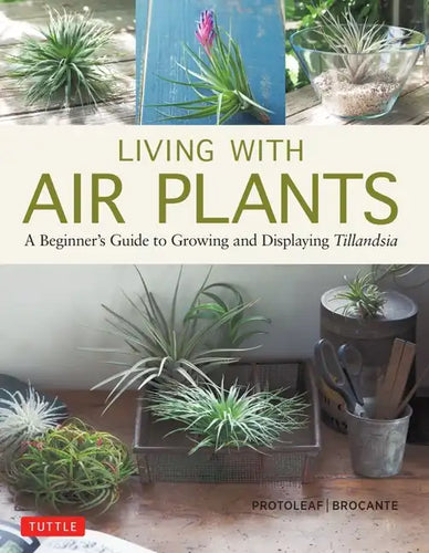 Living with Air Plants: A Beginner's Guide to Growing and Displaying Tillandsia - Hardcover