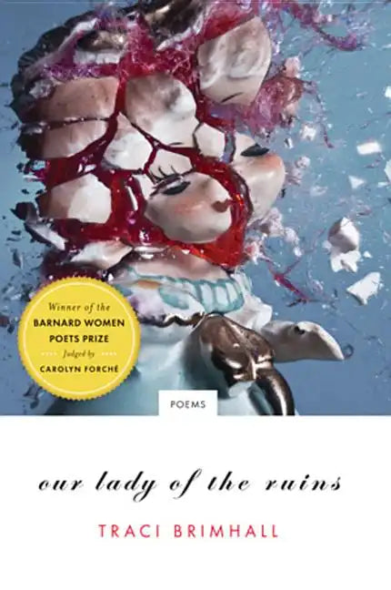 Our Lady of the Ruins: Poems - Paperback