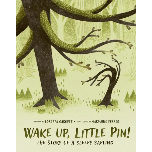 Wake Up, Little Pin!: The Story of a Sleepy Sapling - Hardcover