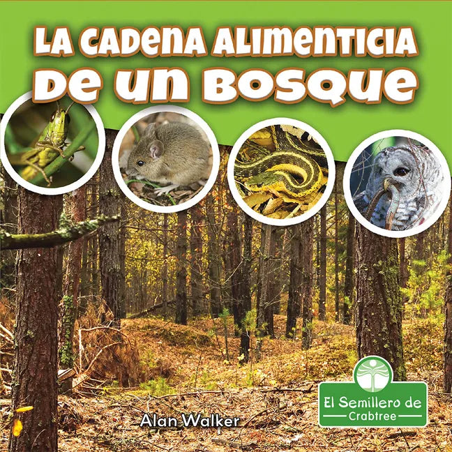 La Cadena Alimenticia de Un Bosque (Food Chain in a Forest) - Paperback