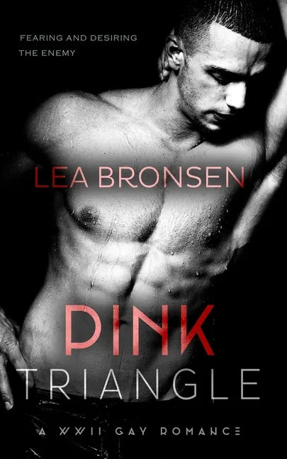 Pink Triangle: A WWII Gay Romance - Paperback