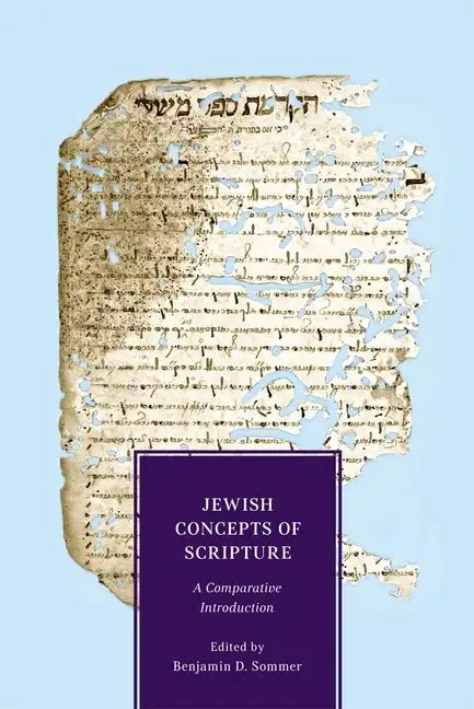 Jewish Concepts of Scripture: A Comparative Introduction - Paperback