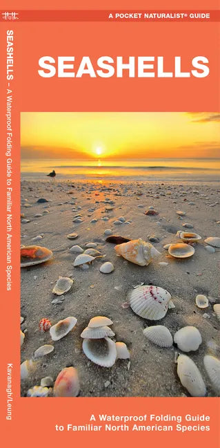 Seashells: A Folding Guide to Familiar North American Species - Paperback