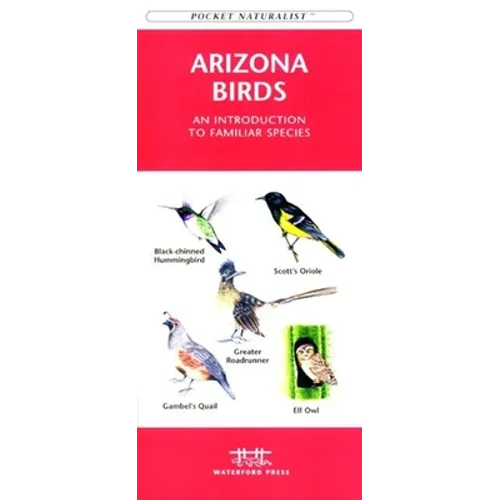 Colorado Trees & Wildflowers: An Introduction to Familiar Species