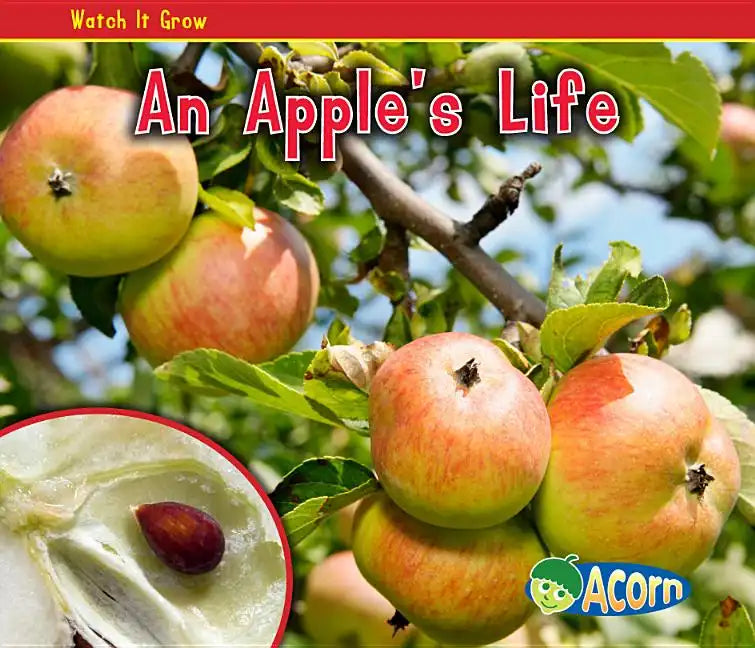 An Apple's Life - Paperback