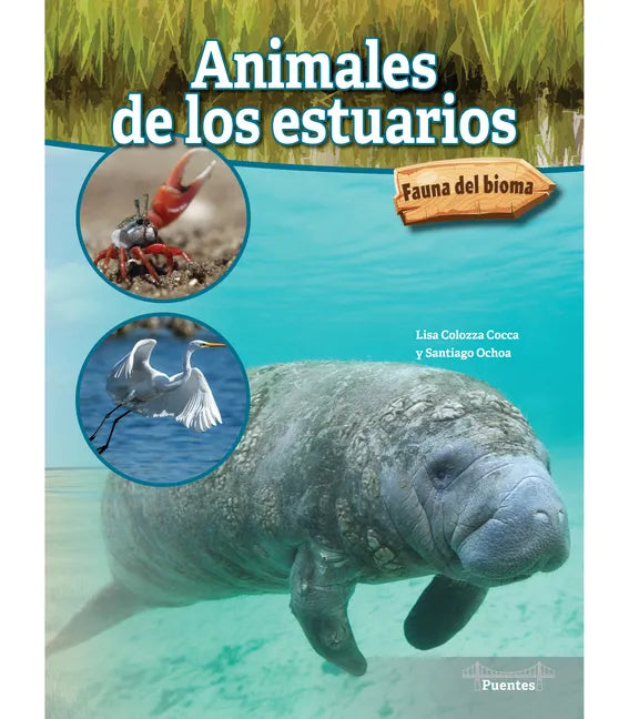 Animales de Los Estuarios: Estuary Animals - Paperback