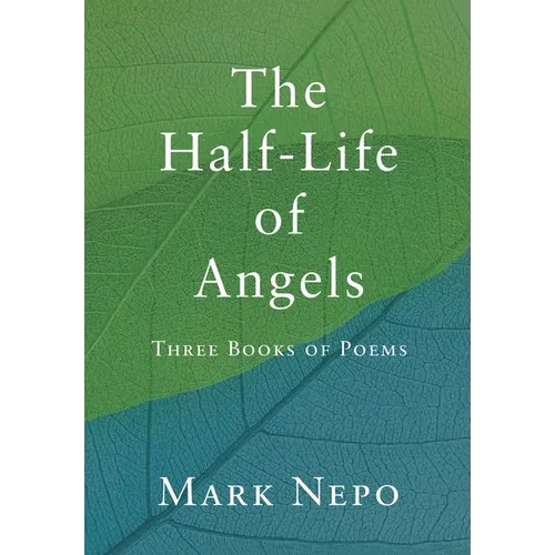The Half-Life of Angels - Hardcover