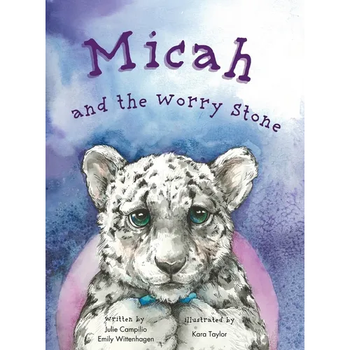 Micah and the Worry Stone - Hardcover